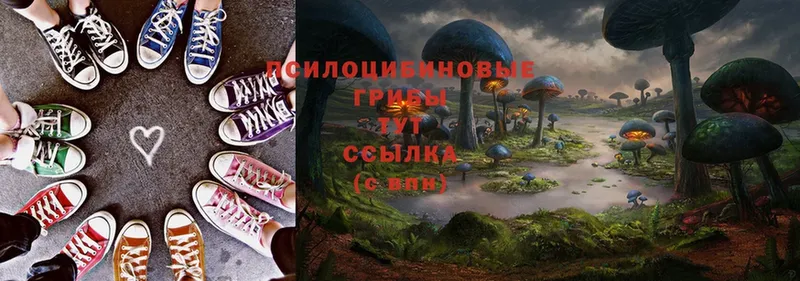 цены   кракен зеркало  Галлюциногенные грибы Magic Shrooms  Ярославль 